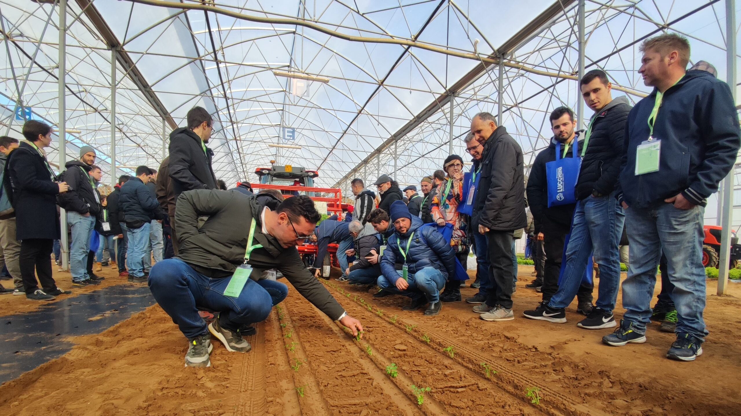 Ferrari grow tech orticoltura tecnica campo|novamont orticoltura tecnica campo|cora seeds orticoltura tecnica campo|Ferrari grow tech orticoltura tecnica campo|ortomec orticoltura tecnica campo|forigo  orticoltura tecnica campo|luca romagnoli kubota Ferra